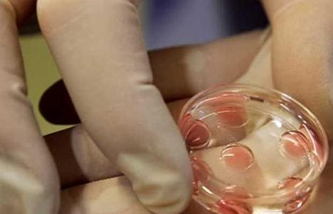 Cuplurile fără copii pot încerca fertilizarea in vitro la opt spitale din ţară 